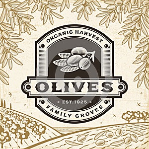 Retro olives label on harvest landscape