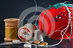 Retro Pin Cushion, Needle and Thread