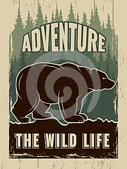 Retro poster with picture of wild bear