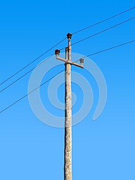 Retro power transmission pole