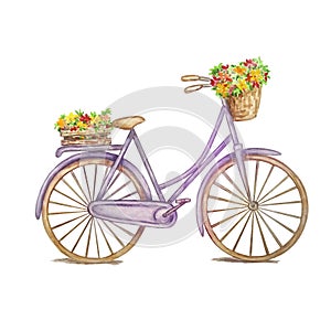 Retro purple bicycle, wooden box with flowers