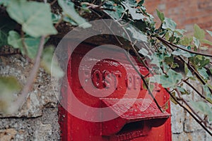 Retro red mailbox in Cotswolds, UK, selective focus, framed by an ivy plant