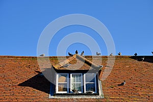 Retro red tile roof with a dormer window against blue sky.