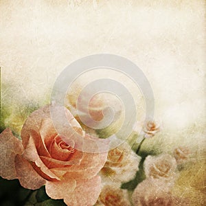 Retro rose background