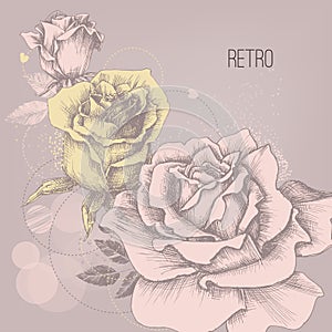 Retro roses