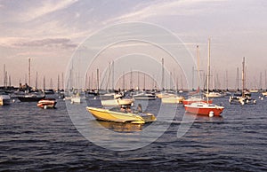 Retro Sailboats in Marina