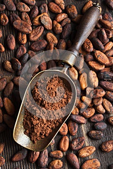 Retro scoop with cocoa powder