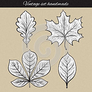 Retro set of 4 leaf sketch handmade. Vintage leaves