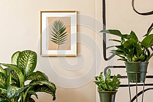 Retro space interior at home with gold mock up frame and potted plants.
