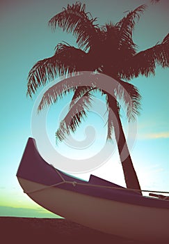 Retro Style Canoe And Palm Tree