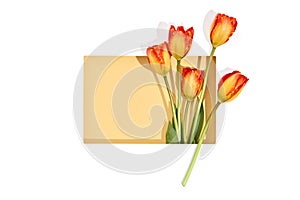 Retro style floral background. Tulip Flower with white frame. Spring minimal layout with beige table and sunlight