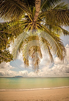 Retro style image of tropical island beach
