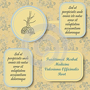 Retro Style Inforgraphic Board for Herbal Medicine