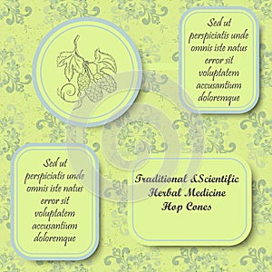 Retro Style Inforgraphic Board for Herbal Medicine