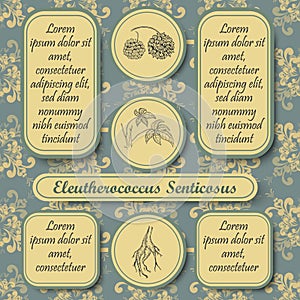 Retro Style Inforgraphic Board for Herbal Medicine