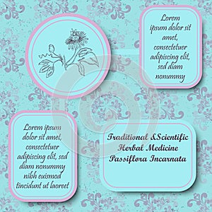 Retro Style Inforgraphic Board for Herbal Medicine