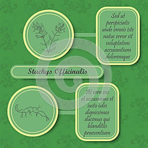 Retro Style Inforgraphic Board for Herbal Medicine