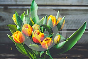 Retro style photo of beautiful orange tulips on a rustic wooden background.