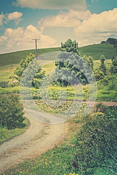 Retro style photo of a pastoral rural landscape with gravel road winding past lily pond towards lush green rolling hills