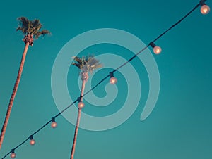 Retro Style Tall Palms at Sunset with Lights and Copy Space