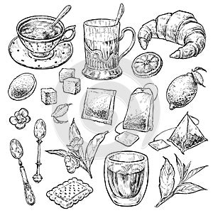 Stile tè impostato. dipinto a mano antico vettore schizzo illustrazioni. elementi incisione stile 