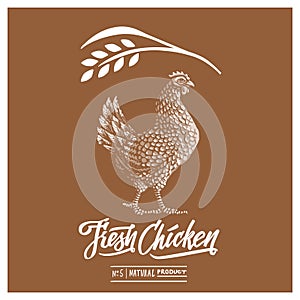 Retro styled design template and calligraphical text with engraving chicken art.