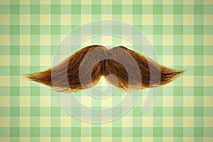 Retro styled image of a moustache in front of green wallpaper