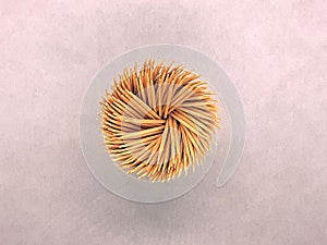 Retro Stylized Film Photography Of Toothpicks In Holder From Top Down Perspective View