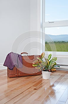 Retro suitcase and bright plant in empty room