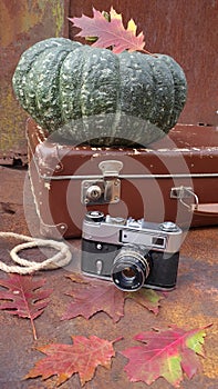 Retro suitcase, green pumpkin, oak leaves, camera on a rusty metal background.
