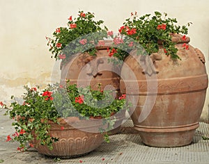 Retro terracotta vases with geranium flowers