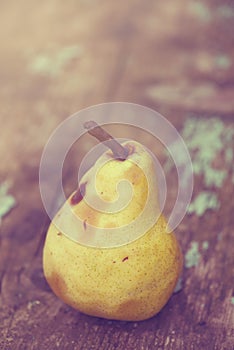 Retro toned ripe pear fruit