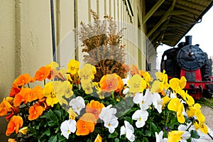 Old Train in Germany