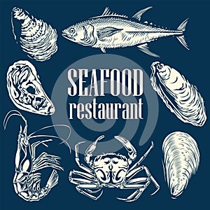 Sea Food Set Lobster Crab Shell Fish Squid Blue illustration vector photo