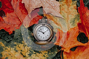 Retro vintage antique pocket watch clock lying on ground in autumn fall red yellow orange maple leaves