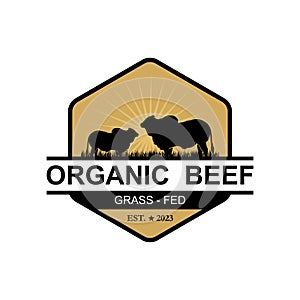 Retro Vintage Farm Cattle Angus Livestock Beef Emblem Label logo design vector