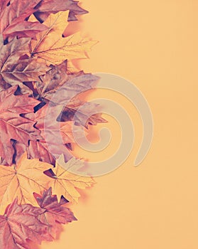 Retro vintage filter Autumn Leaves on modern trend orange background