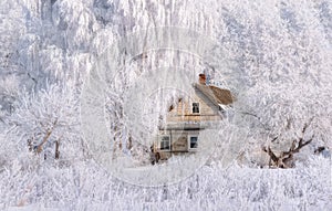 Retro Winter House.Christmas Landscape In Pink Tones With Old Fairy Tale House, Surrounded By Trees In Hoarfrost. Rural Landscape 