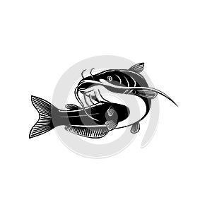 North American Blue Catfish Ictalurus Furcatus Swimming Up Retro Woodcut Black and White photo