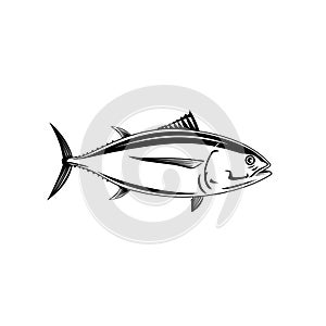 Pacific Albacore Thunnus Alalunga or Longfin Tuna Side View Retro Woodcut Black and White photo