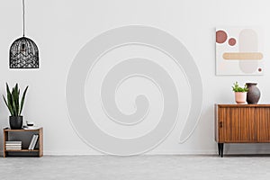   de madera armario la pintura en vacío sala de estar blanco los muros copiar espacio el lugar sofá. 