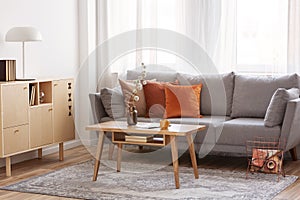 Retro wooden coffee table in front of grey couch in classy living room interior