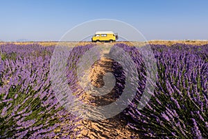 Retro yellow camper van during sunrise time in Valensole lavender fields in Provence, France photo