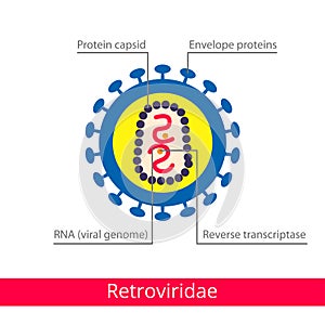 Retroviridae. Classification of viruses. photo