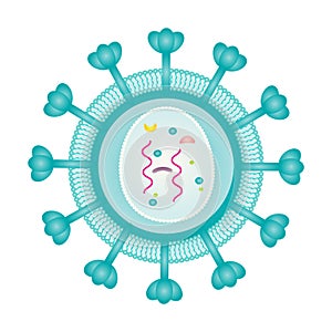 Retrovirus Structure vector illustration graphic template photo
