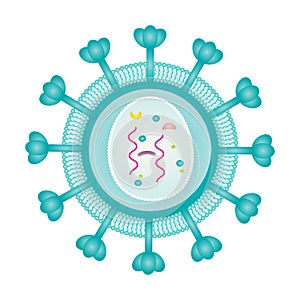 Retrovirus Structure vector illustration graphic template