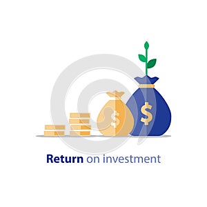 Return on investment, finance consolidation, budget planning, finance statistic