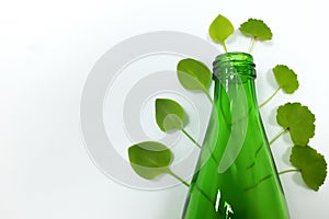 Reusable glass bottle with green leaves showing reduce, reuse, recycle concept