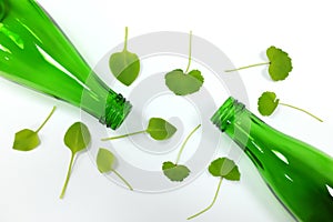 Reusable glass bottles and green leaves showing reduce, reuse, recycle concept