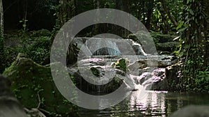 Reveal panning shot fresh water rapids flowing into the natural pond under sunshine in the jungle.